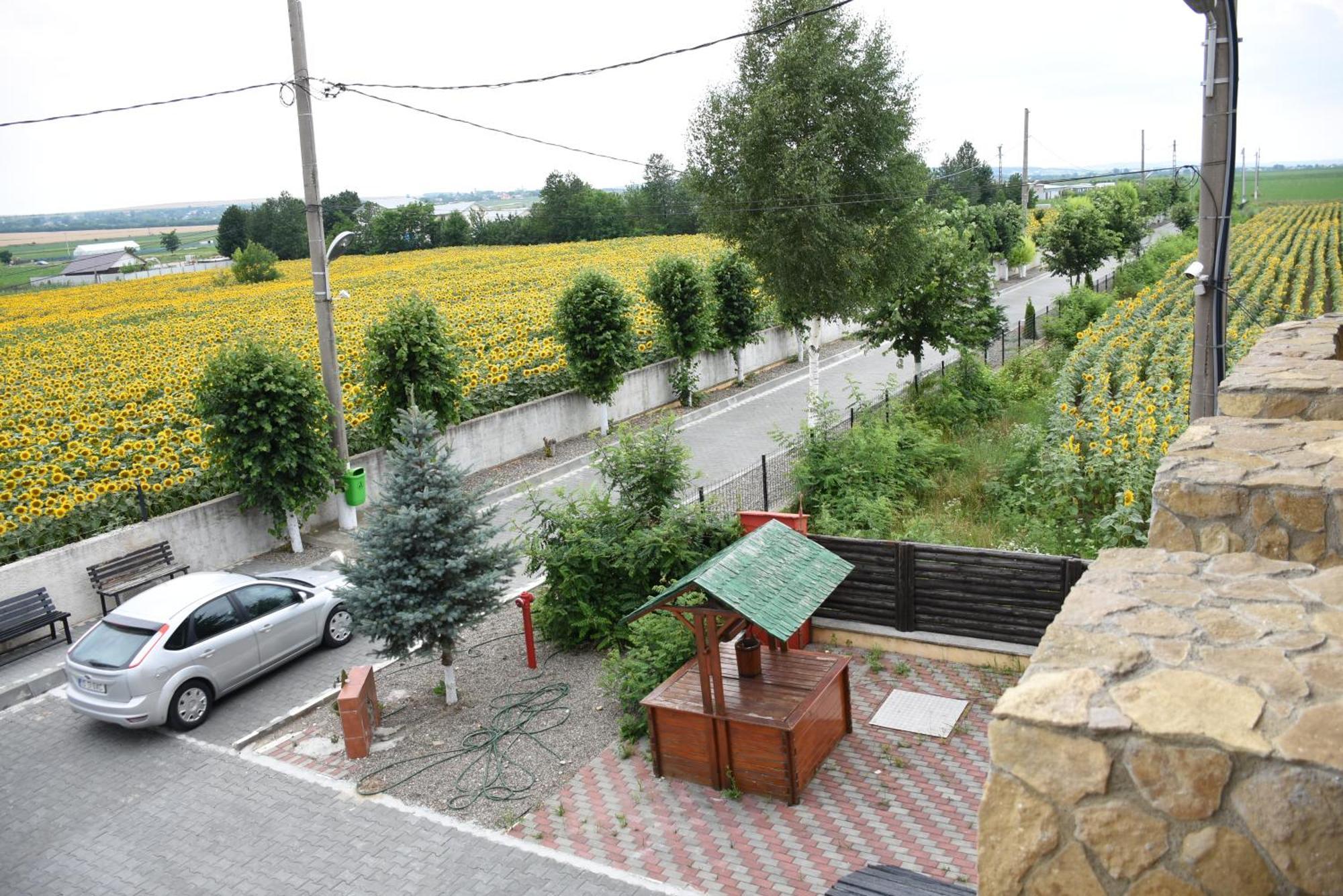 Royal Castle Hotel Pascani Buitenkant foto